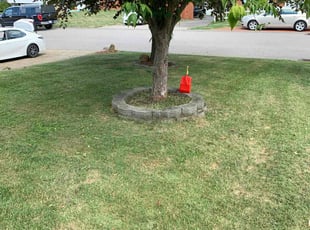 Hari M.'s Grass Cutting service result
