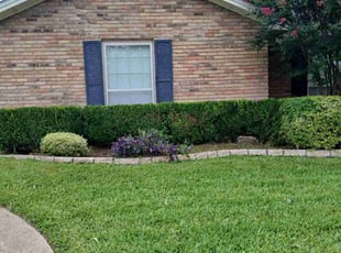 Bush Trimming by Valente Alvarado for Brandon C. in Plano, TX