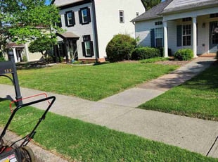 Tornik M.'s Lawn Maintenance service result