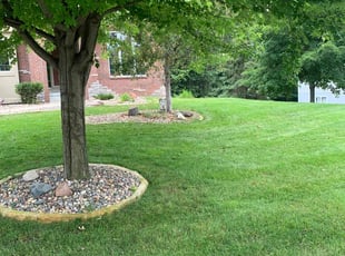 Cynthia T.'s Lawn Mowing Service service result
