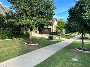 Nicole R.'s Lawn Mowing service result