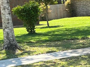 Linda B.'s Lawn Care service result