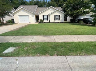 Lynton T.'s Lawn Service service result