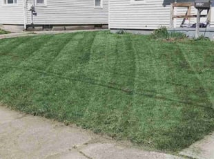 Amanda L.'s Yard Cutting service result