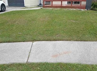 Ricky C.'s Lawn Mowing Service service result