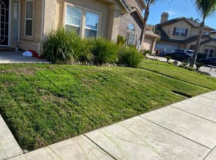 Kim R.'s Lawn Mowing service result