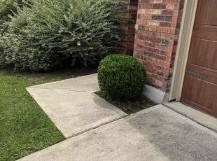 Bush Trimming by Alejandro Colchado for Jackson E. in Leander, TX