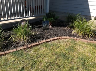 Weeding by Merced Rodriguez for Marya W. in Manor, TX
