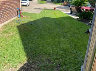 Kastacia (.'s Lawn Mowing service result