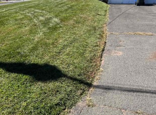 William T.'s Lawn Service service result