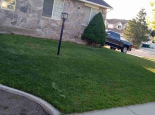 Darlene J.'s Lawn Service service result