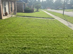 Rita K.'s Grass Cutting service result