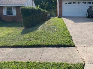 Flora V.'s Lawn Care service result