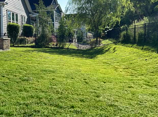 Dwight B.'s Lawn Service service result