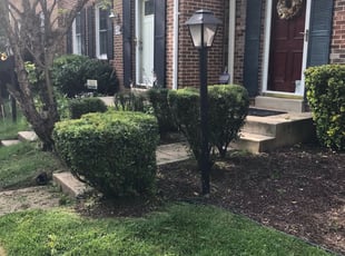 Bush Trimming by Kamonta Hackey for Michelle DUPLICATE ACCOUNT4 L. in Rockville, MD
