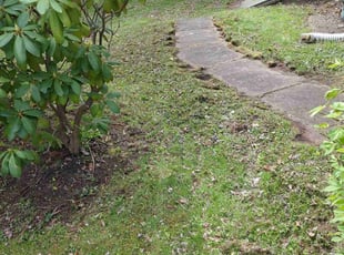 Leaf Removal by David Puerner for Annette D. in Scranton, PA