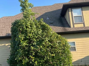 Bush Trimming by Jabri King for Christopher W. in Calera, AL