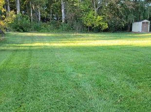 Laura R.'s Lawn Mowing service result