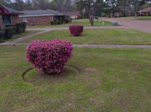 Megan B.'s Lawn Service service result