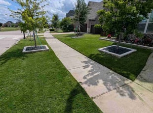 Jimmie G.'s Lawn Service service result