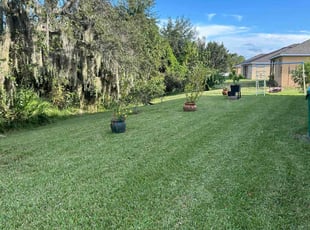 Melinda H.'s Lawn Care service result