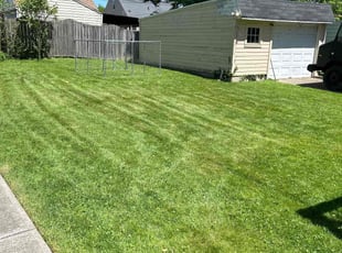 Patrick P.'s Lawn Care service result