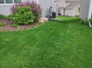 Amanda F.'s Lawn Mowing service result