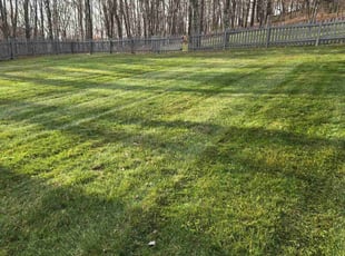 David n.'s Lawn Service service result