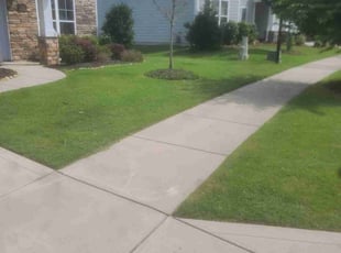 Donna G.'s Grass Cutting service result