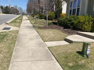 CARLOS T.'s Lawn Service service result