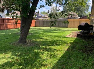 Tom H.'s Lawn Care service result