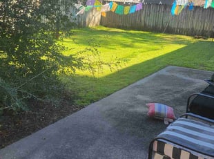 Kiesha C.'s Lawn Care service result