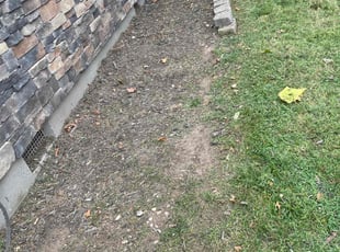 Weeding by Sedrick Wesley for Amy S. in Kansas City, MO