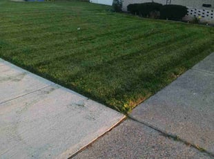 Diane S.'s Lawn Mowing Service service result