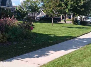 Ronald S.'s Lawn Mowing Service service result