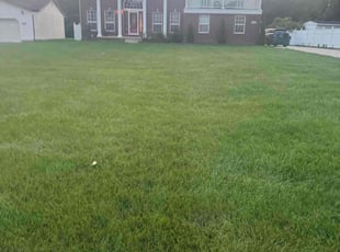 Jennifer B.'s Lawn Service service result