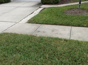 Kedar J.'s Lawn Care service result