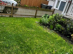 Bush Trimming by Caree Keith for OWEN W. in Hyattsville, MD