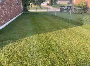 Karen D.'s Lawn Care service result
