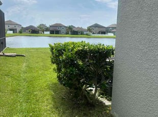 Bush Trimming by Corey Johnson for Ross Z. in Riverview, FL