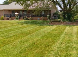Senthy S.'s Lawn Mowing service result