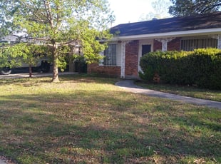 Leaf Removal by Jason Salazar for Kia S. in San Antonio, TX