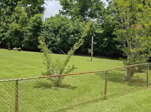 Sharon P.'s Lawn Maintenance service result