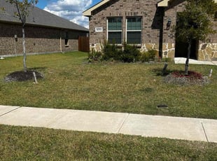 Alejandra R.'s Lawn Service service result