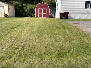 Randy K.'s Lawn Mowing Service service result
