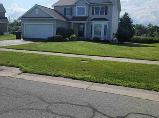 Ofer M.'s Lawn Care service result