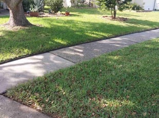 Linda W.'s Lawn Service service result