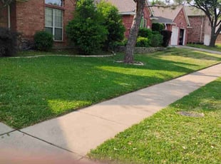Pamela L.'s Lawn Service service result