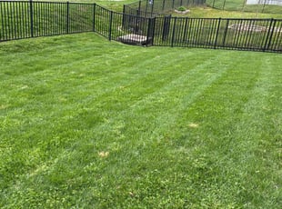LaRhonda C.'s Lawn Care service result