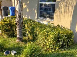 Bush Trimming by J. Shawn Addington for Tia W. in Sun City Center, FL
